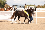 SBM_14001