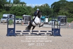 BPP_3317