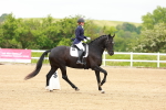 SBM_004731