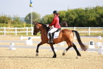 SBM_008172