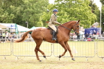 SBM_14671