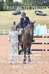 BPP_6387