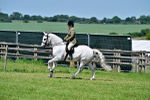 SBM_17485