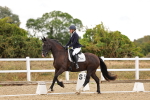 SBM_003290