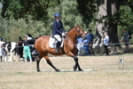 WJ7_0680