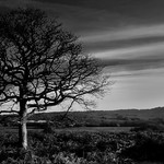 Landscape-011
