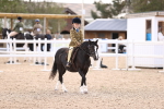 SBM_11665