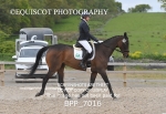 BPP_7016