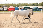 SBM_04630