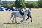 WJ6_7815