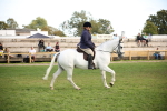 SBM_50210