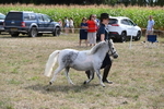 WJ6_7084