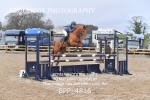 BPP_4816