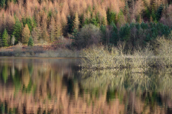 Afterglow - Thirlmere, Lake District