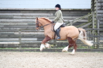 SBM_006159