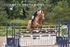 BPP_8923