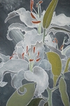Lily on Grey Detail