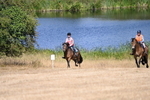WJ6_8753