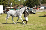 SBM_18905