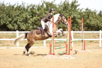 SBM_000700