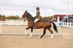 SBM_02834