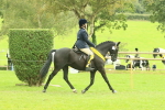 SBM_74987
