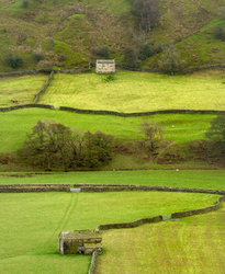 Rural portfolio