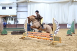SBM_003595