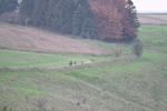 WJ7_9768