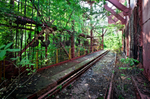 Carrie Furnaces (Rankin, PA) | Overgrown Trestle