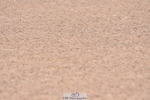230720A-094144-01450
