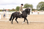 SBM_02794
