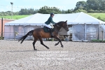 BPP_2146