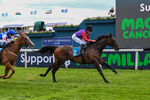 150526-Race 3-Warrant Holder-7561