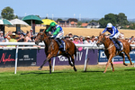 130826-Race 1-Not My Type-7851