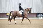 SBM_001528