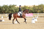 SBM_008667