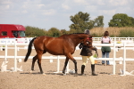 SBM_03382