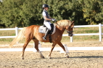 SBM_007733