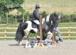 BPP_1325