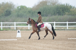 SBM_003403