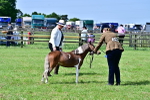 SBM_03672