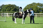 SBM_36811