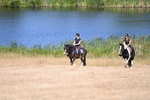 WJ6_8169