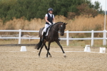 SBM_011146