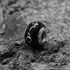 Whitby Jet Bead Inlaid Silver Circles jbe015