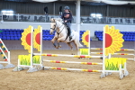 SBM_000338