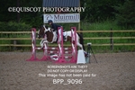 BPP_9096