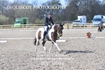 BPP_9594