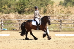 SBM_001490